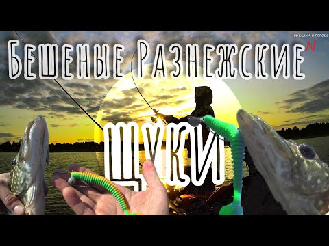 Видео: Рыбалка в Разнежье.Силикон и Вертушки в деле! Разловил приманки.