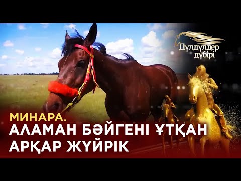 Видео: Минара. Аламан бәйгені ұтқан арқар жүйрік. «Дүлдүлдер дүбірі»