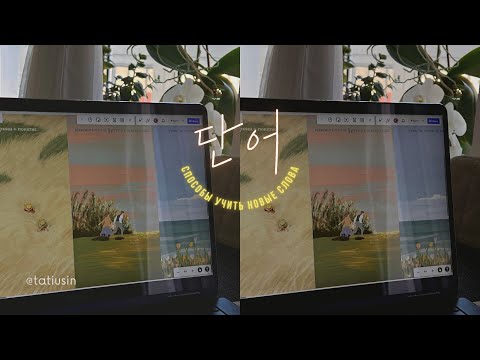 Видео: как я учу корейские слова
