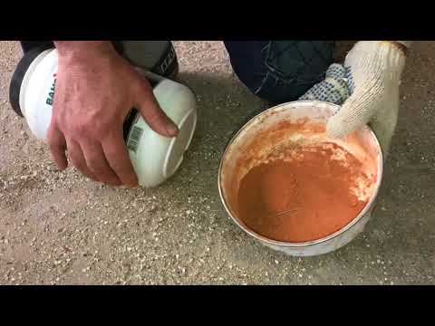 Видео: Голуби Гапонова Юрия. г.Селидово. Весна. 0953680406