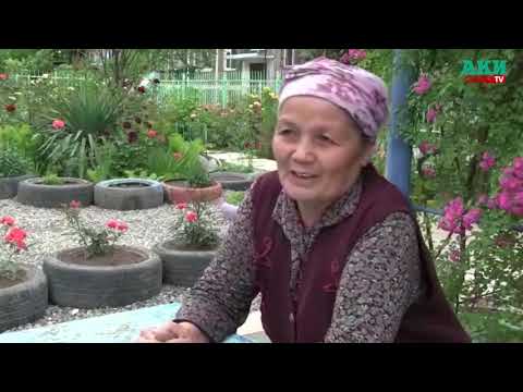 Видео: Эки кошуна айым  көп кабаттуу үйдүн алдын гүлзарга айлантты