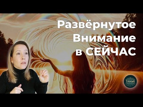 Видео: 🏵РазВернутое Внимание в Сейчас