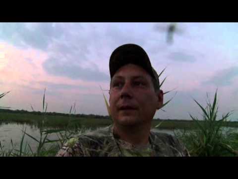 Видео: Открытие охоты 2015 "Ни пуха-ни пера" часть 1