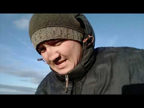 Видео: Культивация или пахота? Как посеять в солому? Севооборот для начинающих 2, - ячмень VS лён VS ...)))