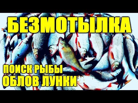 Видео: Безмотылка новичкам - как раскачать лунку, найти рыбу и поймать больше! Проводки! Выбор снасти!