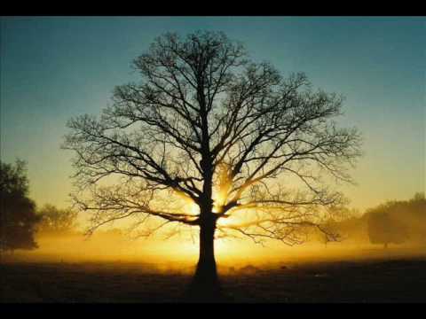 Видео: Группа Новая Жизнь- Вера