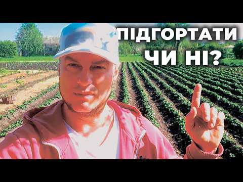 Видео: КАРТОПЛЯ: ПІДГОРТАТИ ЧИ НІ? КОРИСНІ ВДОСКОНАЛЕННЯ ДЛЯ МОТОБЛОКА!