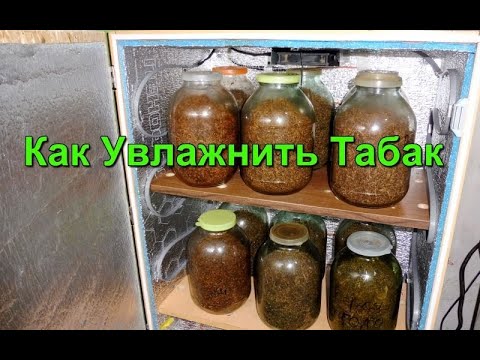 Видео: Простые способы увлажнения Табака.