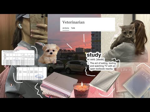 Видео: смена профессии в 22 // tout recommencer