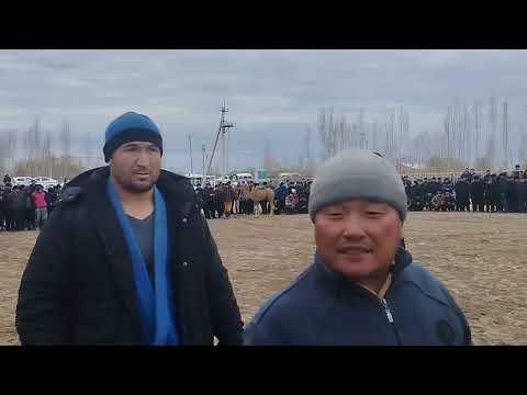 Видео: НОКИС РАЙОНДА УЛКЕН ТОЙ ПАЛУАНЛАР ГУРЕСИ БАЛТА ПАЛУАН ЕРГАШ ПАЛУАН ЗАКИР ПАЛУАНЛАР #kurash ##gures