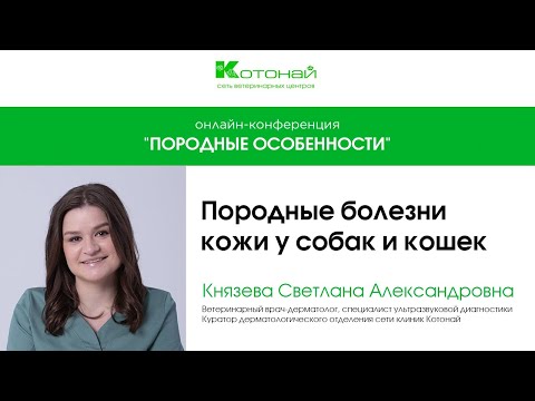 Видео: Породные болезни кожи у кошек и собак | Князева Светлана Александровна