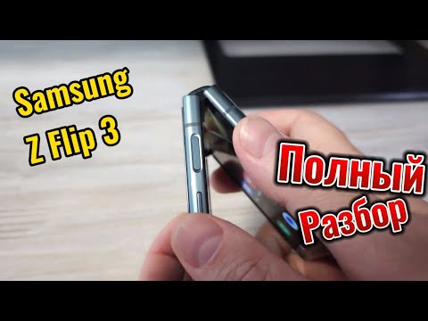Видео: Samsung Z Flip 3. Полный Разбор И Чистка