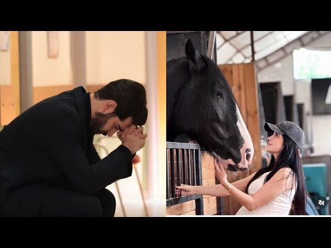 Видео: Барыш Бакташ в слезах - неожиданное решение Гюлюма Бакташа вызвало споры