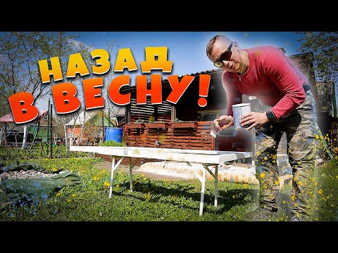 Видео: НАЗАД В ВЕСНУ! Фазенда и мои НОВЫЕ ИНСТРУМЕНТИКИ! #влог #дача #gründer