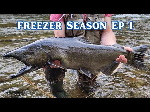 Видео: Годовой запас лосося | Сезон заморозки, Эпизод 1 — Пресноводный королевский лосось