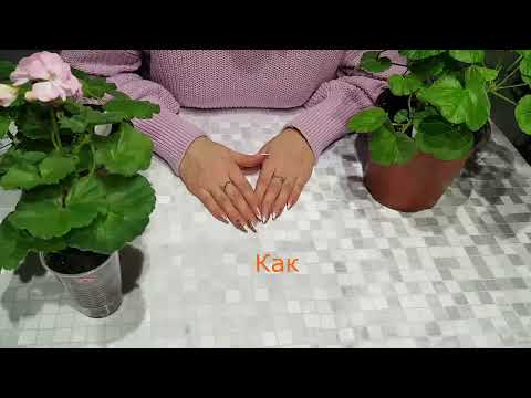 Видео: Удобрения для пеларгоний. Как? Что? Зачем? Часть 1. #пеларгония #герань #удобрение