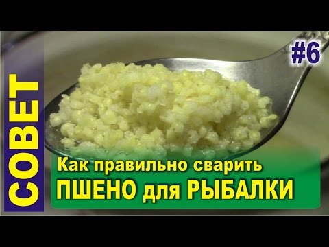 Видео: Как сварить пшено для рыбалки (для приготовления прикормки)