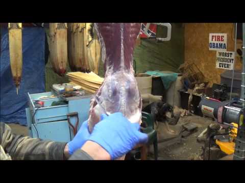 Видео: Профессиональная обработка меха, снятие шкуры выдры, часть 1