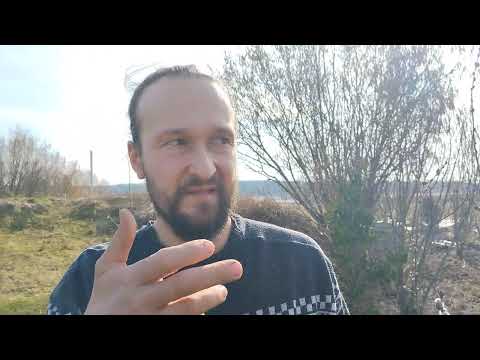 Видео: Первоцветы и сельская интеллигенция