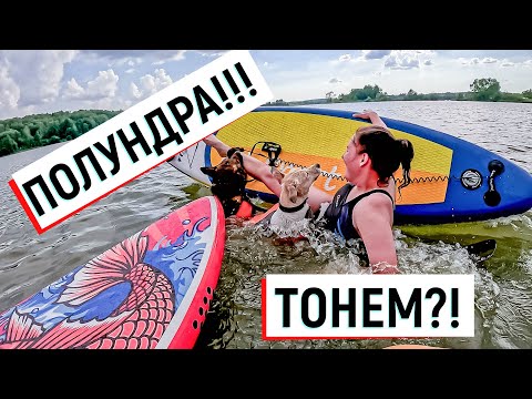 Видео: ПИТБУЛЬ ПЕЧЕНЬКА ныряет c САПа, собачья туса на воде, июнь #питбульпеченька #питбуль #печенька #dog