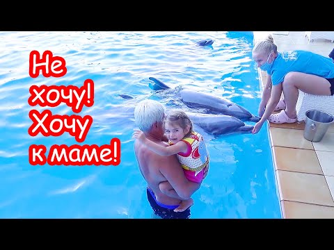 Видео: VLOG Плавать с дельфинами Алиса побоялась