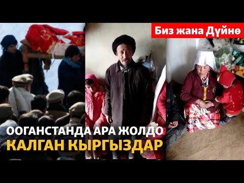 Видео: Ооганстанда ара жолдо калган кыргыздар