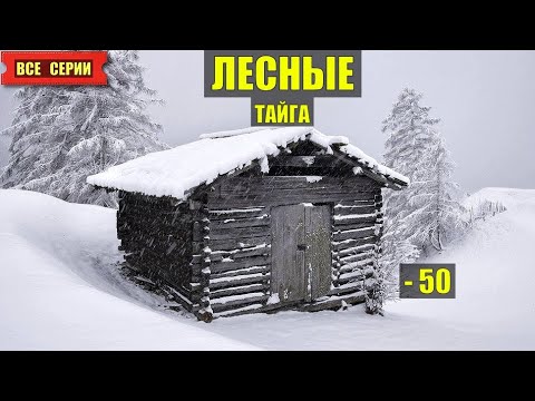 Видео: ЛЕСНЫЕ ВСЕ СЕРИИ ВЫЖИТЬ в МОРОЗ - 50 ДОМ в ЛЕСУ ИЗБА ЛЕСНИКА ТАЁЖНЫЙ РОМАН ЖИЗНЬ в ТАЙГЕ ИСТОРИИ