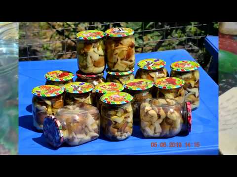 Видео: Как вкусно замариновать белые грибы