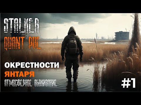 Видео: DayZ - Атмосферное выживание STALKER (Quant PVE) №1
