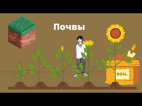 Видео: Почва - тема. Виды почв