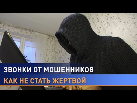 Видео: "Ваша дочь попала в аварию, нужны деньги": как не стать легкой добычей мошенников