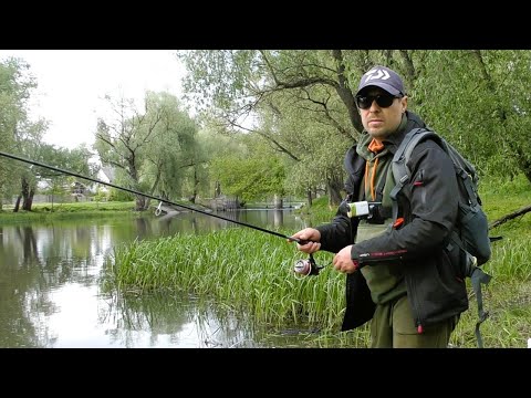 Видео: Знайшов Хрущів. Риболовля на Головня. Щука на Блешню