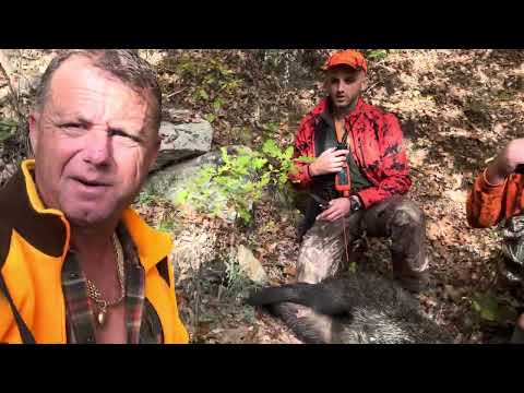 Видео: 1 ноември 2025 г.