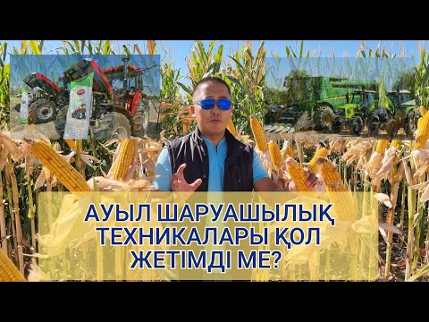 Видео: Жүгері өсірудің машақаты қандай?     "День поля"