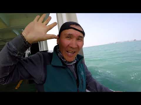 Видео: Работа в Южной Корее: (ч. 1); /дезинформация от агентов/.