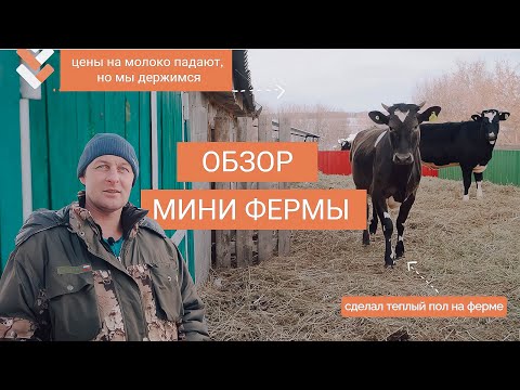 Видео: Построил мини-ферму мечты в сельской глубинке. Обзор хозяйства