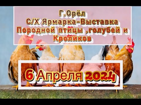 Видео: Сельскохозяйственная Ярмарка-Выставка Г.Орёл 06.04.2024