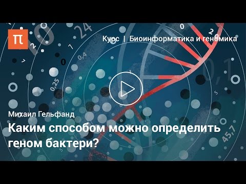 Видео: Метаболическая реконструкция — Михаил Гельфанд