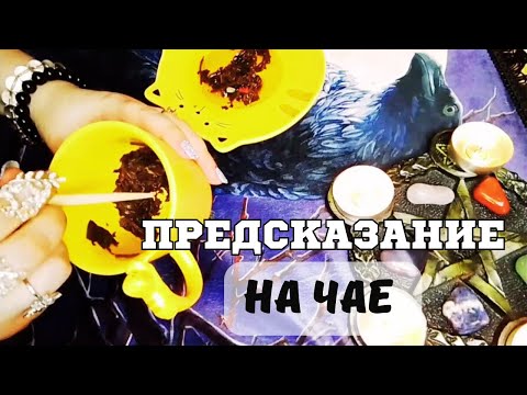 Видео: Онлайн гадание: чайные листья🌱 раскроют все 💯