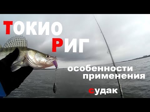 Видео: Токио Риг. Как применять? Ловля судака на водохранилище. Классная оснастка! Судак