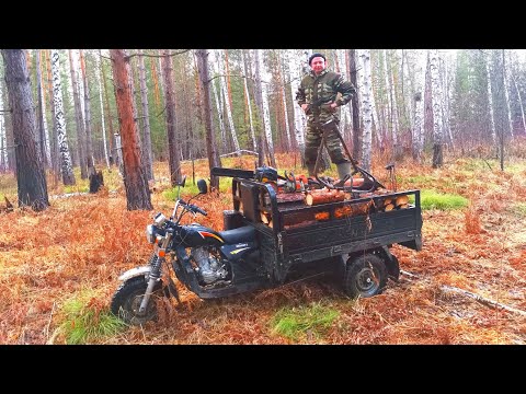 Видео: СБОР И ТОПЛЕНИЕ СИБИРСКОЙ СЕРЫ. ГРУЗИМ ВАЛЕЖНИК В КИТАЙСКИЙ ТРИЦИКЛ.