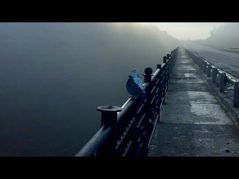 Видео: С кем Он сейчас общается 🤔 с кем встречается и с какой целью ⁉️