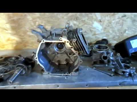 Видео: Ремонтирую двигатель мотоблока подписчика.