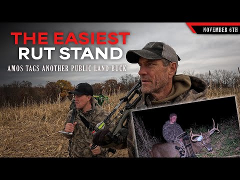 Видео: Мы охотимся на самом удобном месте гона — Амос метит второго оленя-самца | Охота на белохвостых о...