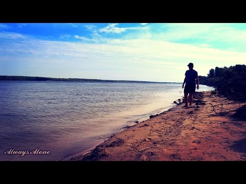 Видео: Рыбалка после паводка. Ловля сазана. ловля жереха. ловля окуня.