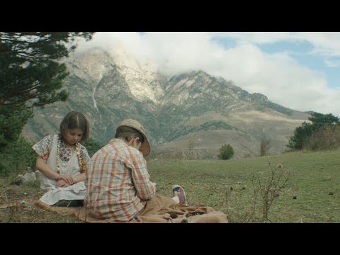 Видео: Фильм «Дерево» о девяностых на Кавказе (реж. Хава Мухиева, 2018)