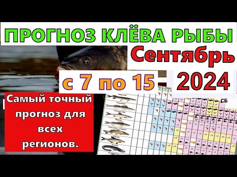 Видео: Лунный прогноз клева рыбы на эту неделю с 7 по 15 Сентября 2024 Календарь рыбака сентябрь