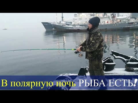 Видео: Морская рыбалка в Мурманске - наловили в Баренцевом море 15 кг полярной пикши, сайды и трески!