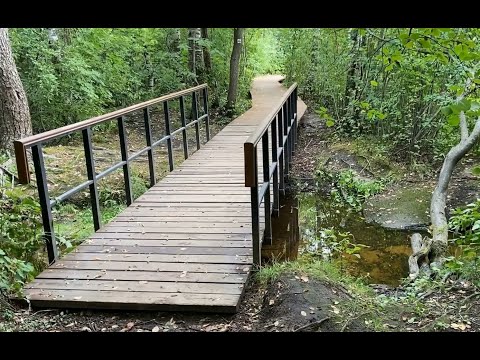Видео: Сестрорецкое болото: знакомимся с уникальной экосистемой