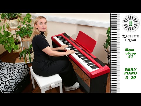 Видео: Клавиши с нуля - Мини обзор 1 -  EMILY PIANO D-20